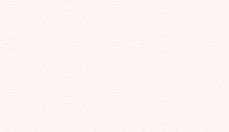 Promoção imperdível! 